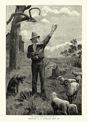 Vintage engraving of Shakespeare on an Australian sheep run. I am shepherd to another man.  As you like it, 19th Century