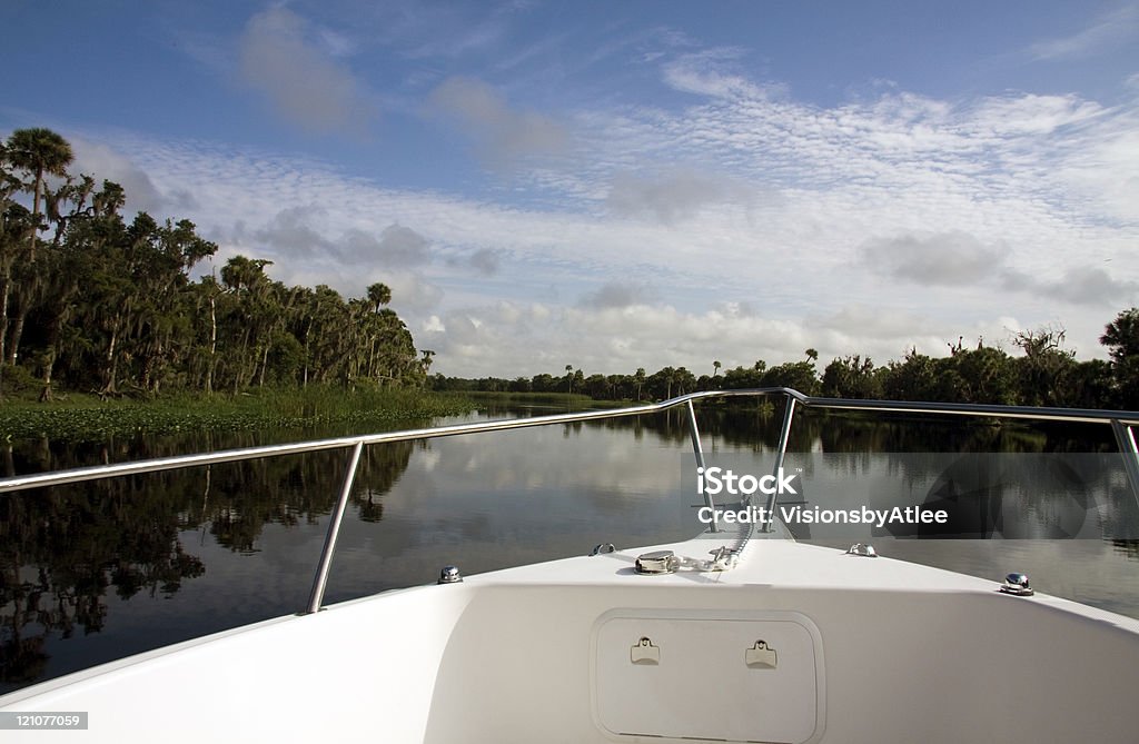 Navegando pelo Rio St. Johns - Foto de stock de Flórida - EUA royalty-free