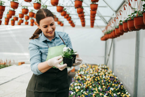 istock Woman working in greenhouse 1210771979
