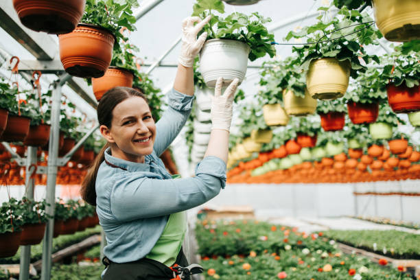 istock Woman working in greenhouse 1210771984
