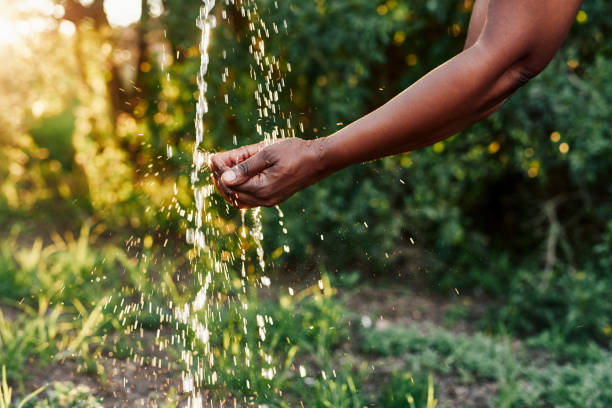 istock There's no life without water 1210772430
