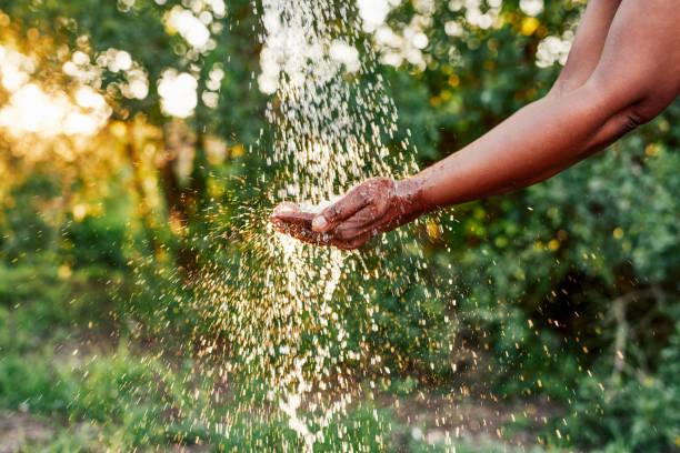 istock Water is life, take care of it 1210772470