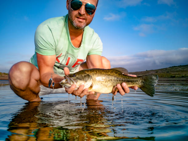 istock Bass Fishing on lake 1210775751