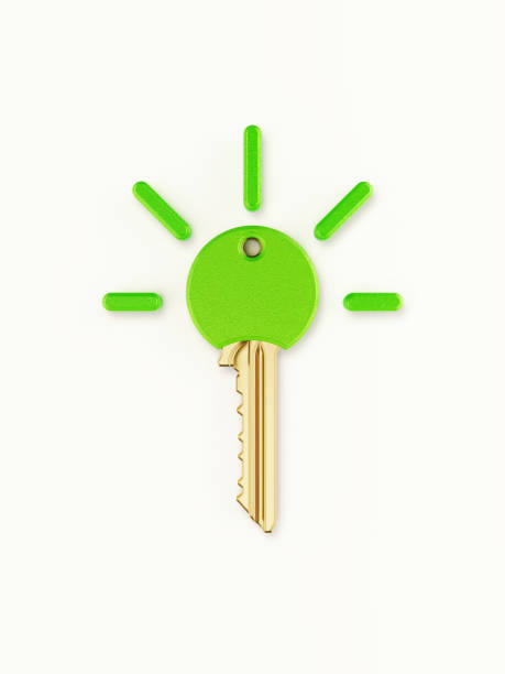 Bronze Key Covered with Green Plastic on White Background