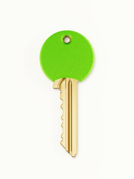 istock Bronze Key Covered with Green Plastic on White Background 1210775904