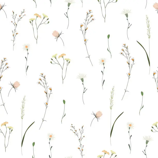 Vector illustration of Floral seamless pattern. Trendy blossom colorful vector texture. Blooming botanical motifs scattered random. Fashion, ditsy print. Hand drawn different color wild meadow flowers on white background