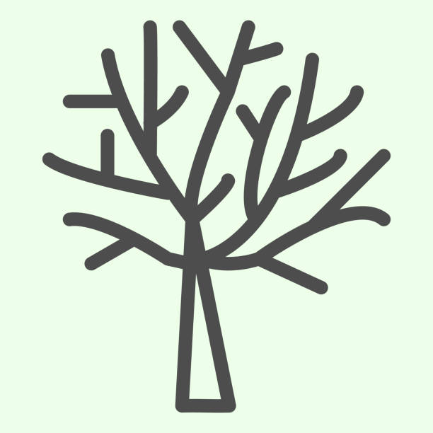 ilustrações de stock, clip art, desenhos animados e ícones de bare tree line icon. halloween dead leafless plant outline style pictogram on white background. nature death with bare branches for mobile concept and web design. vector graphics. - abstract autumn bare tree empty