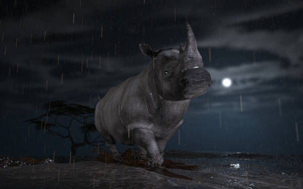 istock Under heavy rain this rhino looks sad and unhappy 3d rendering 1210782288