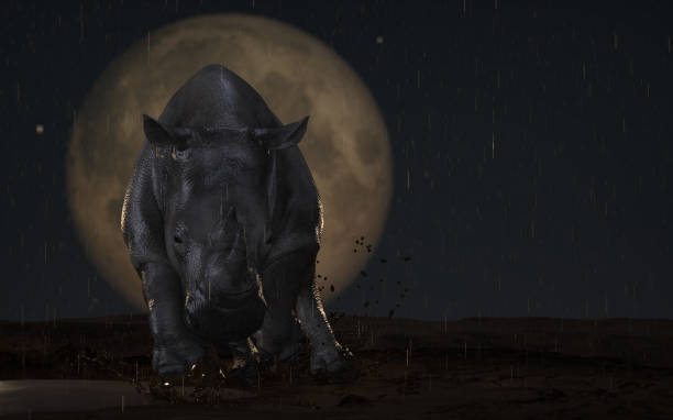 istock Wet and mad rhino under rain at night running towards viewrer 3d rendering 1210782294