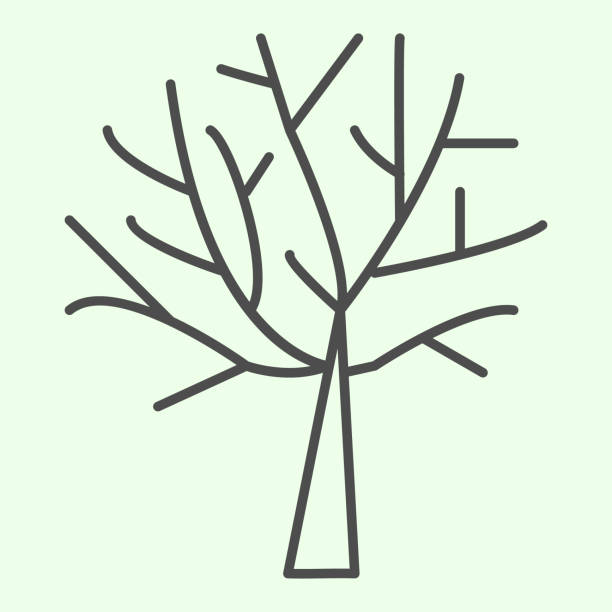 ilustrações de stock, clip art, desenhos animados e ícones de bare tree thin line icon. halloween dead leafless plant outline style pictogram on white background. nature death with bare branches for mobile concept and web design. vector graphics. - abstract autumn bare tree empty