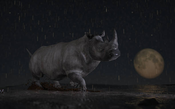 istock Alone rhino under rain and wet ground walking in moon scene 3d rendering 1210782329
