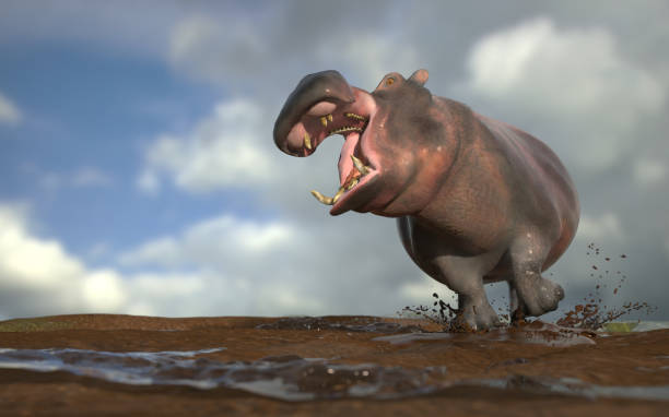 agresywny hipopotam zbliża się z furią gotowy do ataku renderowania 3d - 2948 zdjęcia i obrazy z banku zdjęć