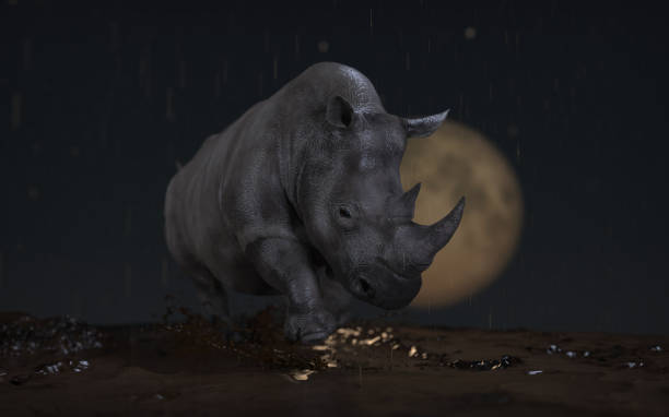 istock Rhino in slime and muddy ground under rain moon is in scene 3d rendering 1210782343
