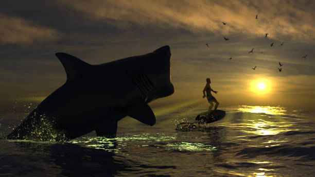istock Massive white sharks is chasing a surfer on the surface 3d rendering 1210782436