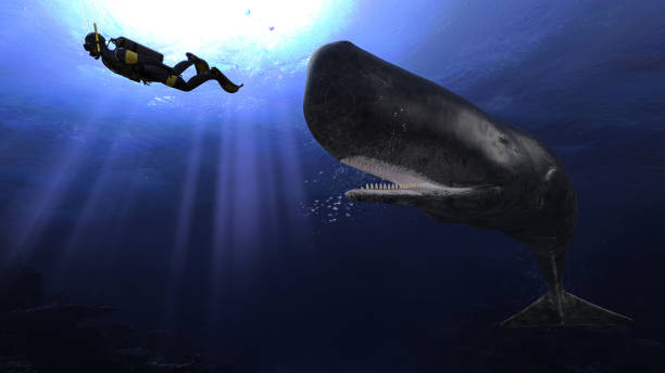 istock Cachalot sperm whale is chasing a scuba diver under deep blue ocean 3d rendering 1210782457