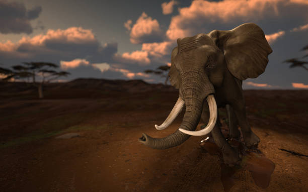 istock Huge African elephant running after safari truck with anger 3d rendering 1210782535