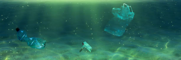 istock plastic garbage floats in the sea underwater 1210786040