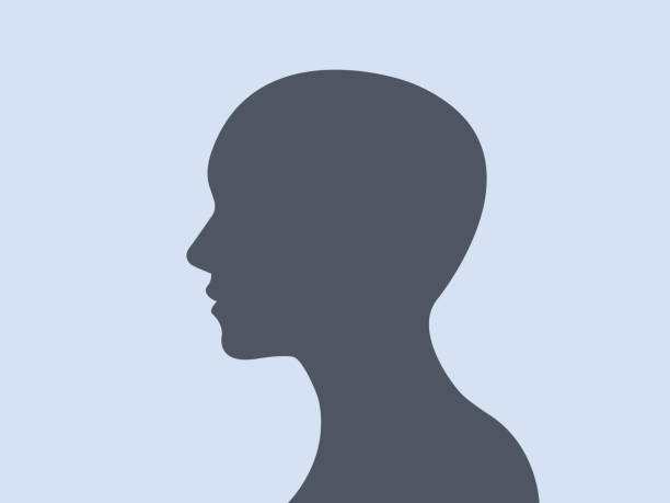 ilustraciones, imágenes clip art, dibujos animados e iconos de stock de silueta de cara de perfil de personas - color image colored background close up human face