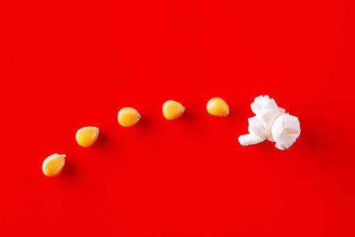 Corn grains transforming into a popcorn on red background. Concept of transformation, evolution or idea development