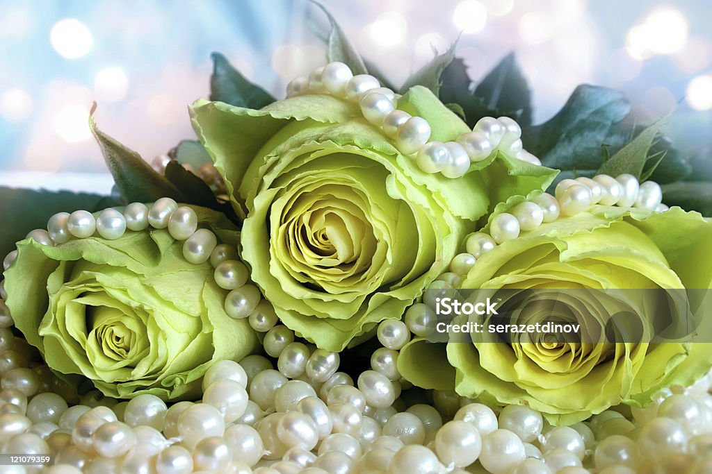Ramo de rosas blancas - Foto de stock de Abstracto libre de derechos