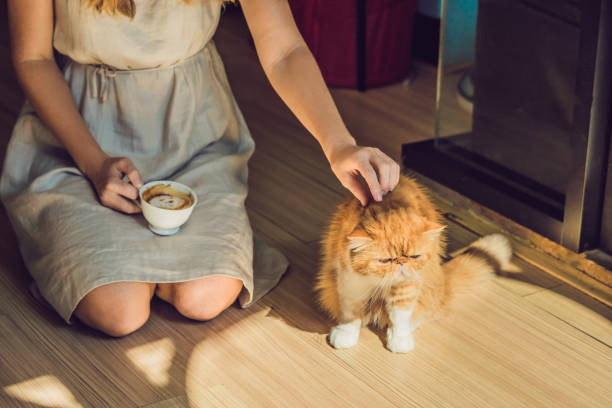 istock Young woman is drinking coffee and stroking the cat 1210793699