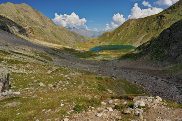 istock Lake Muzelle 1210796386