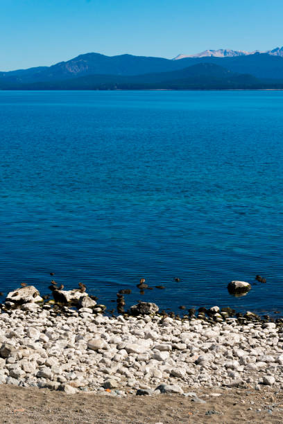 istock Stone beach. Nahuel Huapi Lake. Bariloche 1210796427