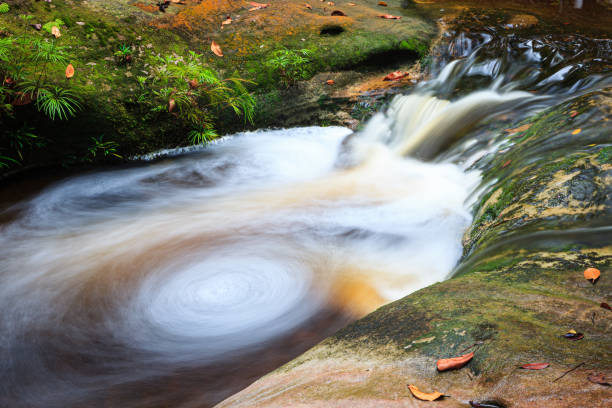Photo of Small whirlpool in stream at forest