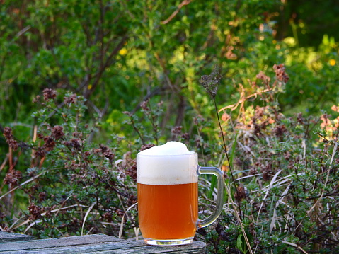 Moscow, Russia  - May 17, 2019 beer in a beer mug or stein on a rustic table somewhere in a springtime garden