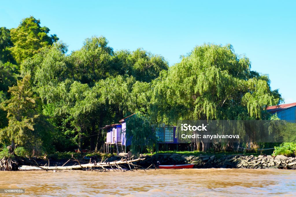 Lush vegetation, boat, dead tree trunk and wooden pier. Tigra delta in Argentina, river system of the Parana Delta North from capital city Buenos Aires. Lush vegetation, wooden house and pier. Tigra delta in Argentina, river system of the Parana Delta North from capital Buenos Aires. Argentina Stock Photo