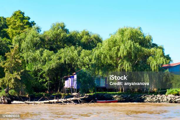 Lush Vegetation Boat Dead Tree Trunk And Wooden Pier Tigra Delta In Argentina River System Of The Parana Delta North From Capital City Buenos Aires Stock Photo - Download Image Now