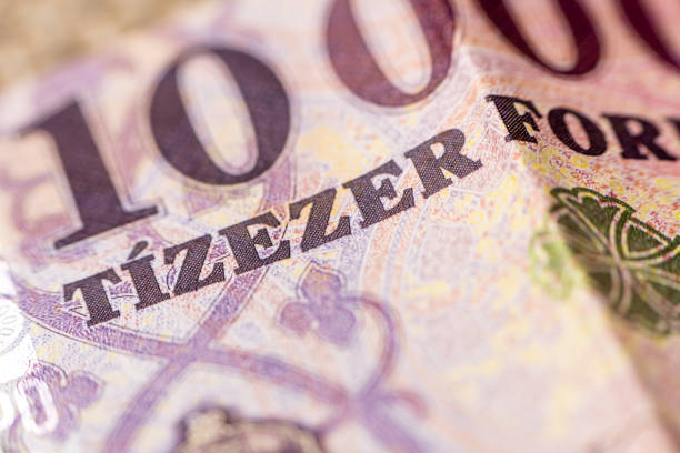 istock Forint, new hungarian currency 2019 1210801172