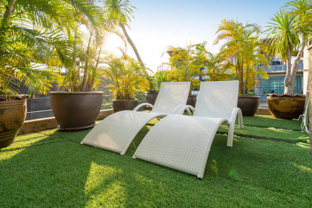 istock sun bed with green garden 1210801798
