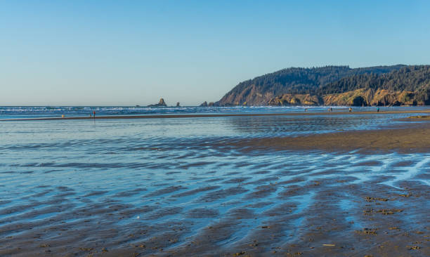 istock Oregon Coast Shoreline Landscape 2 1210805074