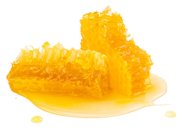 istock Honeycomb piece. Honey slice isolated on white background 1210805121