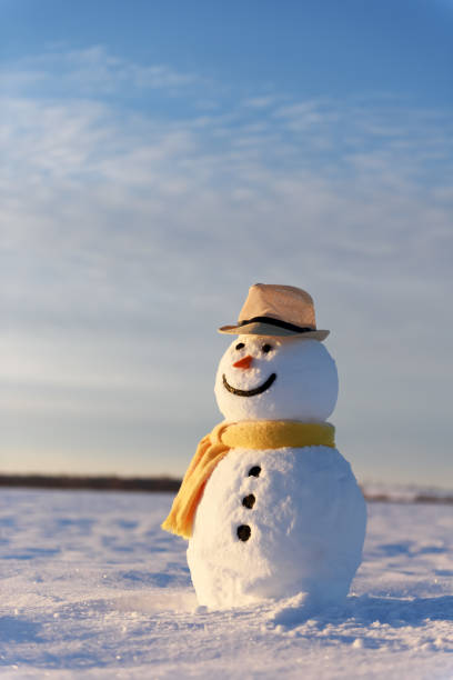 istock Funny snowman in black hat 1210805367