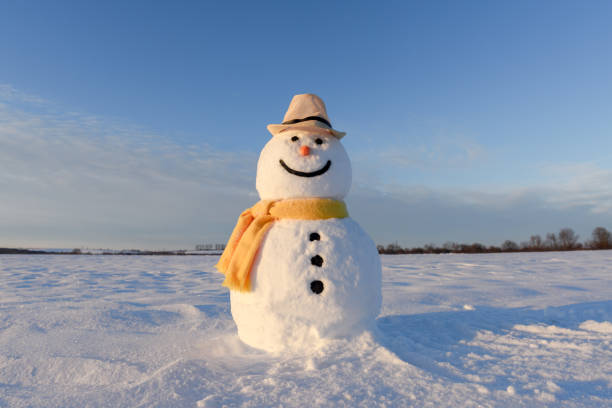 istock Funny snowman in black hat 1210805376