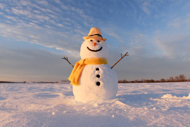 istock Funny snowman in black hat 1210805386