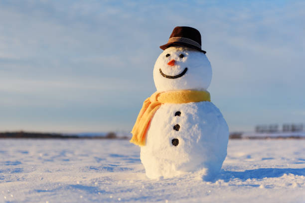 Funny snowman in black hat