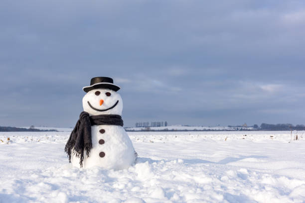 istock Funny snowman in black hat 1210805394