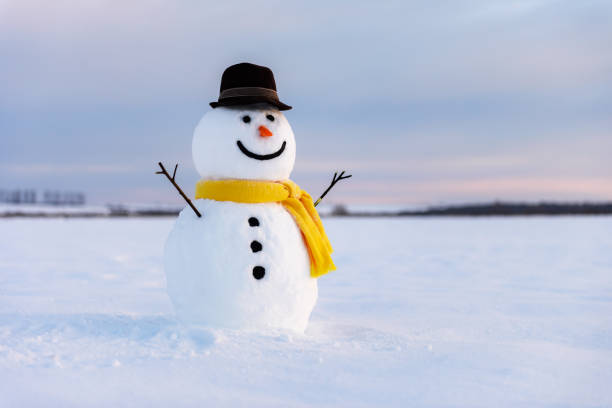 istock Funny snowman in black hat 1210805407