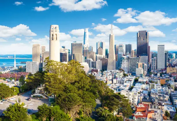 Photo of San Francisco downtown with Coit Tower in foreground. California famous city SF. Travel destination USA