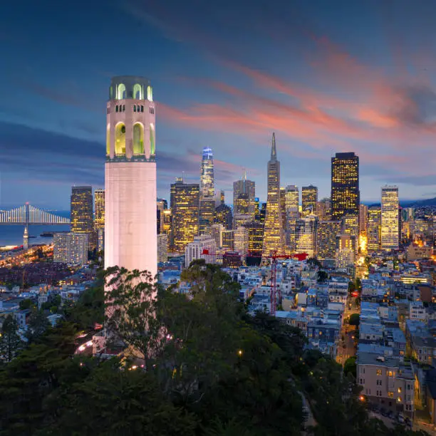 Photo of San Francisco downtown with Coit Tower in foreground. California famous city SF. Travel destination USA