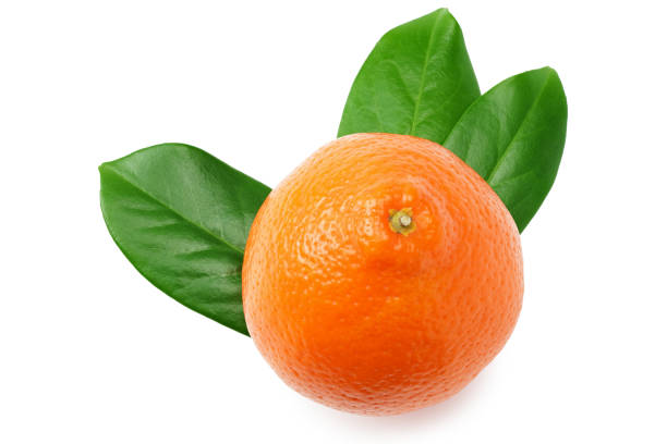 istock orange with green leaf isolated on white background top view 1210808437