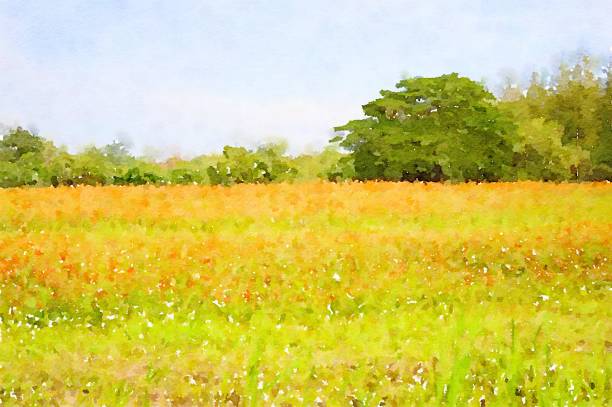 art watercolor of landscape background
