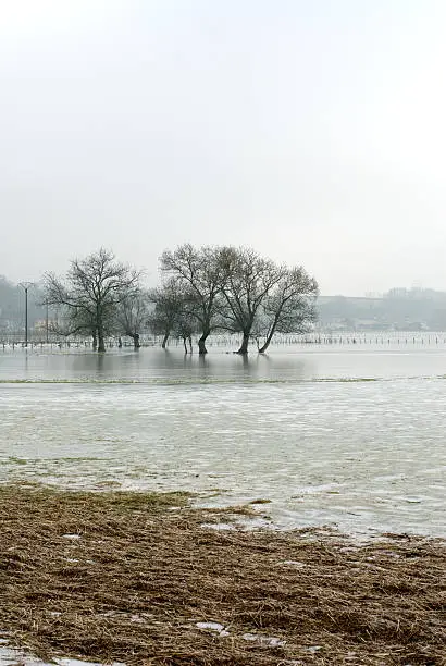 Frozen floodwaters near Macon, France