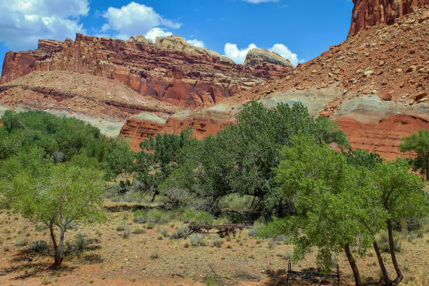 istock Capitol Reef Color Contrasts 1210813078