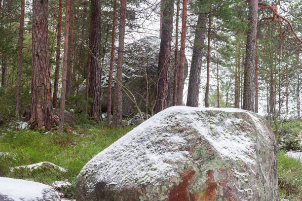 Photo of large stones in the winter forest landscape nature