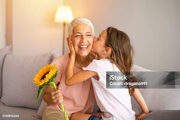 Celebrating Mothers Day Or 8 March Concept Stock Photo - Download Image Now - Grandparent, Grandmother, Child