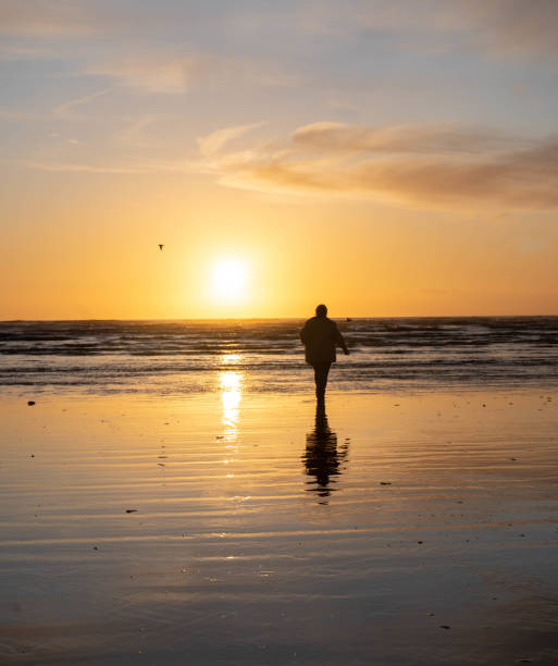 istock mature woman on beach at sunset 1210817185